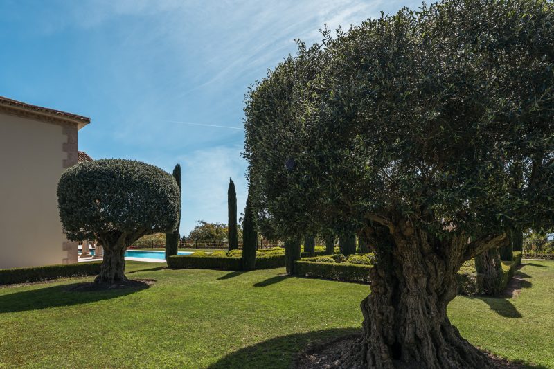 Villa Sinfonia-7
