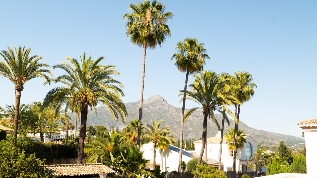 Villa Rosalia-22