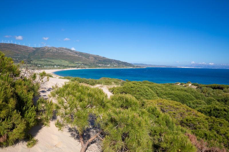 Landscape of valdevaqueros beach and tarifa from the forest